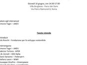 Tavola rotonda Rinnovabili giovedi' giugno 2011