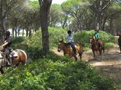 Passeggiate cavallo Sardegna