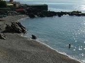 Giornate monotone