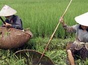 Sacerdote vietnamita: missione servizio poveri degli atei