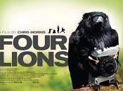 Four lions
