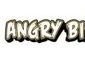 Prossimamente nuovo Angry Birds Seasons iPhone iPad! Video