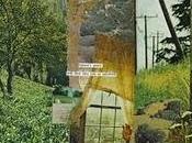 Giardini d'artista little gold poppy