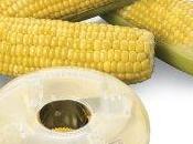 vita essere semplice l’attrezzo giusto!