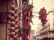 Some summer pictures