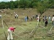 Giardino Suoni_ Massa Marittima