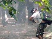 Maroni Grillo, vergogna alta velocità