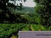 Recensione "Primavera Borgogna" Luca Terenzoni