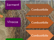 Biomassa, progetto Cantine Settesoli: Informati Partecipa