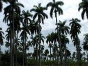 miei racconti situazioni diverse 2007