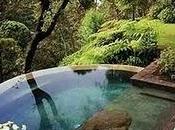 Estate voglia piscina