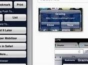 Grazing Browser iPad