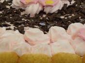 torta rosa Chiara....