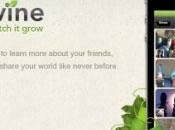 Presentata Photovine: l’applicazione Google