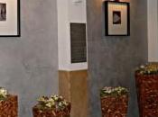 Decorazione interni:Muraless decora MIONI ROYAL HOTEL