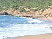 Turista cafone sarò complice