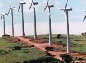 Stintino consiglio comunale cittadinanza contro parco eolico