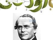 Gregor Mendel Nuovo Logotipo Google