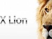 Disponibile Store Lion