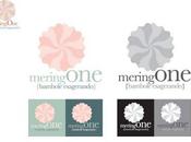 meringONE, DCCI contest 2011