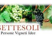Cantine Settesoli: Assemblea Informativa