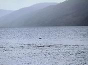NUOVE Foto: Mostro Loch Ness bastone?