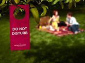 Boxsal valigia magica cartone) picnic