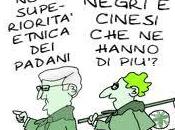 radici idee