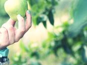 Fruit trees