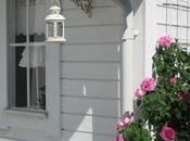 Shabby white...