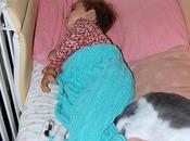 roba gatti fuori programma...