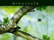Minuscule