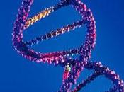 freddo potrebbe curare fibrosi cistica. ricerca finanziata Telethon