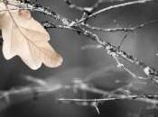 Yara Gambirasio l’autopsia svela nuovi particolari tragico delitto