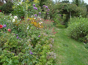 giardino mezza estate