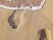 Quelli che… vacanza?