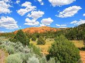 Clouds Canyon