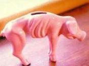 Vola spread dell’ingiustizia