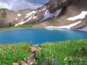 Londra muore noia agenti caos spaccano tutto