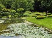 Vacanza Tokyo? Ecco cose assolutamente fare