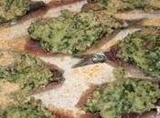 acciughe ripiene alla euge