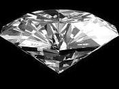 Maniscalco. Poeta. Scommettitore