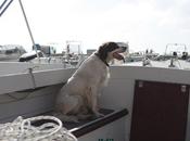 Cane pesca