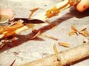 Coltellini bambini quando momento?