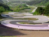 Zenzero: rimedio naturale contro d’auto