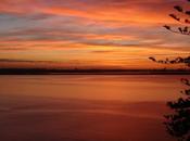 abbiamo forse occhi...