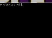 Plasmacon, l’emulatore terminale sempre desktop