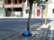 Oristano, Prazza boes, nuovo mercato: lavare vetri semaforo rende?