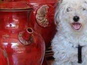 passeggiando Positano 2011