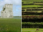 Inspiration From Ireland With Love